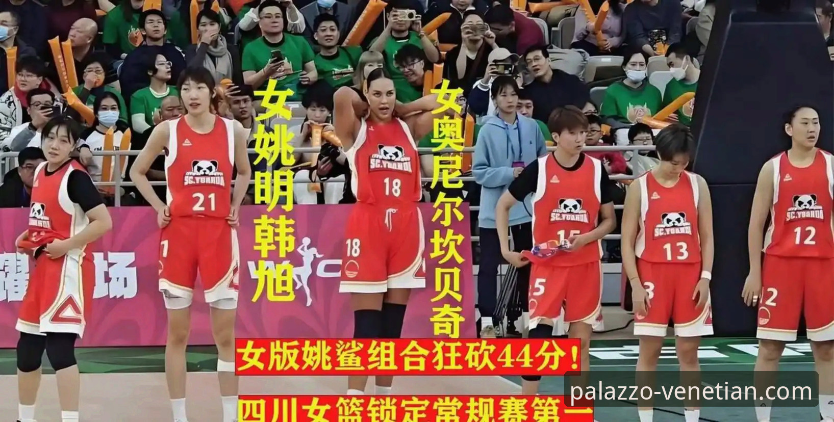 揭秘WCBA总决赛G1：四川女篮34分大胜背后的战术碾压与数据密码